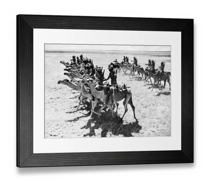 Framed Print : The British Somaliland Camel Corps on Patrol. The regiment is The Kings African