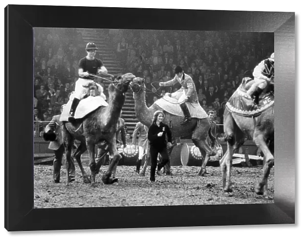 THE PRINCE OF WALES RACES CAMELS WITH WILLIE CARSON (R) AND CAPTAIN MARK PHILIPS