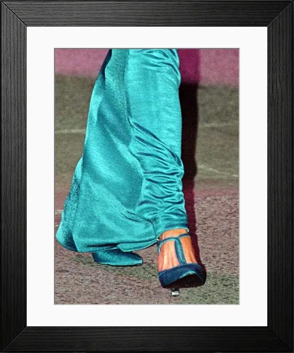 Framed Print : Diana, Princess Of Wales Attends The Victor Chang Research Institute Dinner Dance During