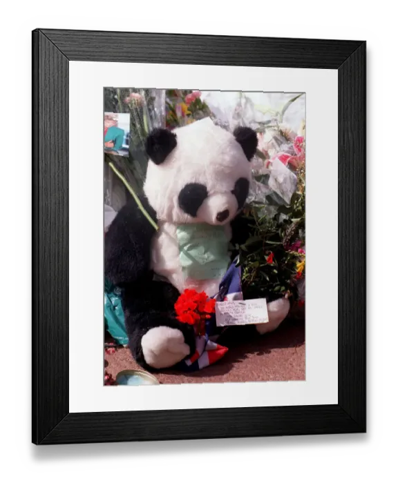 Framed Print : Messages of sympathy following the death of Princess Diana outside Buckingham Palace Framed Print : Messages of sympathy following the death of Princess Diana outside Buckingham Palace
