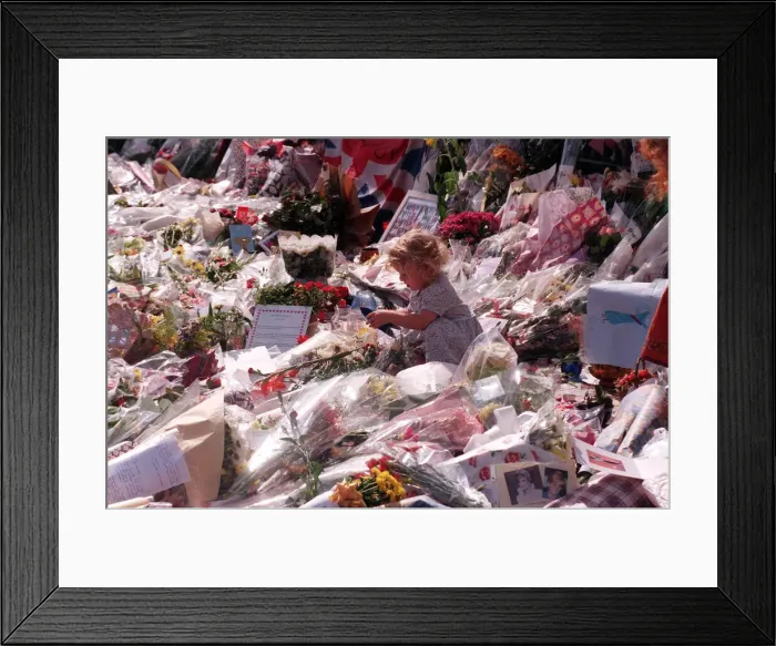 Framed Print : Messages of sympathy following the death of Princess Diana outside Buckingham Palace Framed Print : Messages of sympathy following the death of Princess Diana outside Buckingham Palace