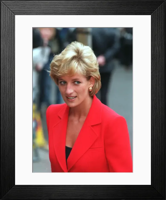Framed Print : PRINCESS DIANA, PRINCESS OF WALES, WEARING RED JACKET ATTENDING LIGHTHOUSE CHARITY Framed Print : PRINCESS DIANA, PRINCESS OF WALES, WEARING RED JACKET ATTENDING LIGHTHOUSE CHARITY