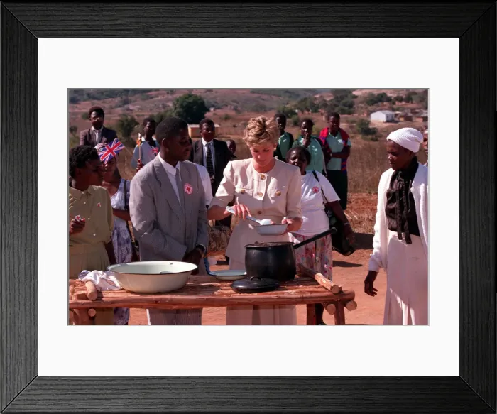 Framed Print : PRINCESS OF WALES WEARING SUNGLASSES AND SMILING DURING A VISIT TO RED CROSS CHARITY Framed Print : PRINCESS OF WALES WEARING SUNGLASSES AND SMILING DURING A VISIT TO RED CROSS CHARITY