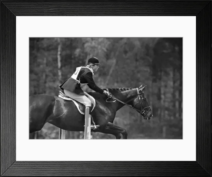 Framed Print : Princess Anne, The Princess Royal, competing in a showjumping event t Windsor Great Park