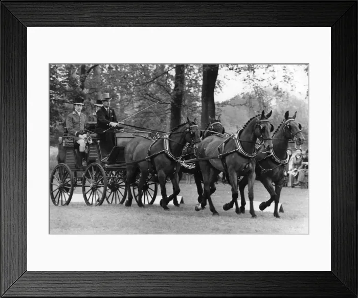 Framed Print : The Duke of Edinburgh. Prince Philip Carriage racing. May 1975 Framed Print : The Duke of Edinburgh. Prince Philip Carriage racing. May 1975