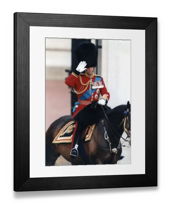 Framed Print : The Duke of Edinburgh. Prince Philip saluting on horse back, in full uniform. June 1994 Framed Print : The Duke of Edinburgh. Prince Philip saluting on horse back, in full uniform. June 1994