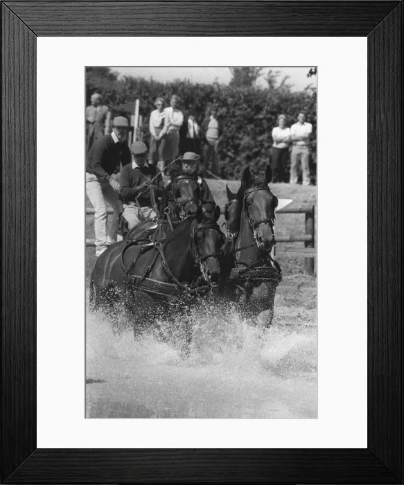 Framed Print : The Duke of Edinburgh, Prince Philip, carriage racing. August 1986 Framed Print : The Duke of Edinburgh, Prince Philip, carriage racing. August 1986