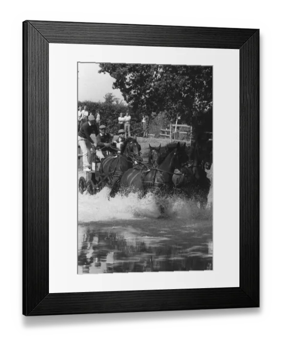 Framed Print : The Duke of Edinburgh, Prince Philip, carriage racing. August 1986 Framed Print : The Duke of Edinburgh, Prince Philip, carriage racing. August 1986