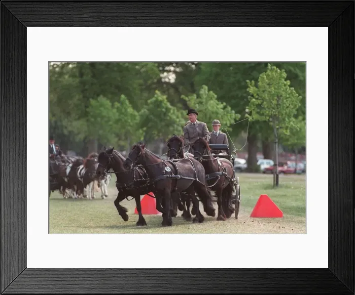 Framed Print : The Duke of Edinburgh driving a horse drawn carriage Framed Print : The Duke of Edinburgh driving a horse drawn carriage