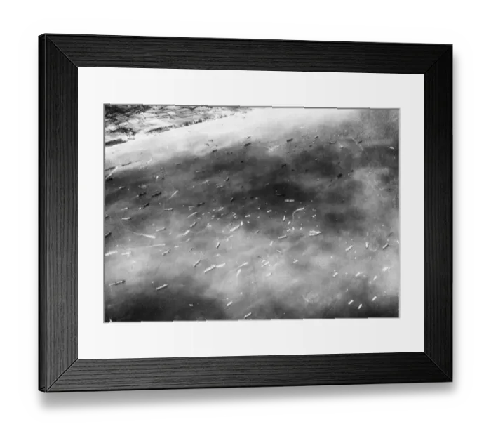 Framed Print : Thousands of Allied Naval Craft Karat ferry to and from the beachhead in Northern France Framed Print : Thousands of Allied Naval Craft Karat ferry to and from the beachhead in Northern France