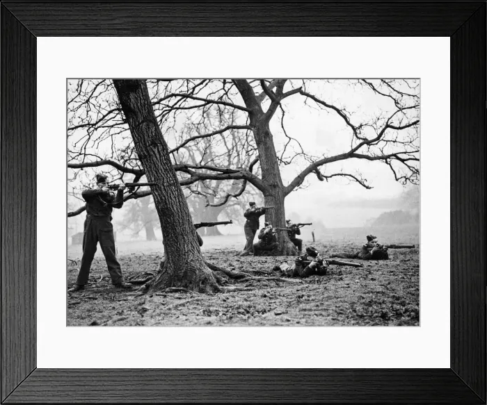 Framed Print : Age old trees provide natural cover for marksmen taking part in field exercises at a Framed Print : Age old trees provide natural cover for marksmen taking part in field exercises at a