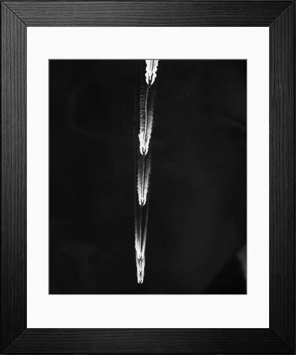 Framed Print : Allied Invasion of Southern France during the Second World War