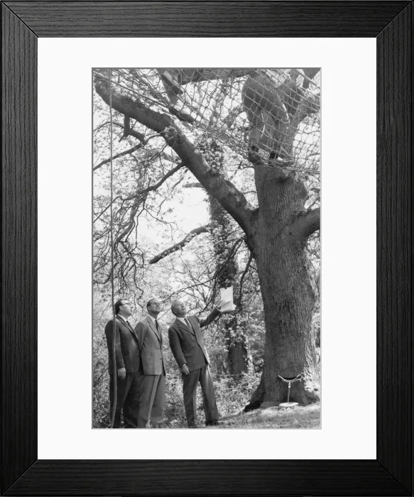 Framed Print : Duke of Edinburgh at training centre in Hampshire for the Duke of Edinburgh Awards scheme Framed Print : Duke of Edinburgh at training centre in Hampshire for the Duke of Edinburgh Awards scheme