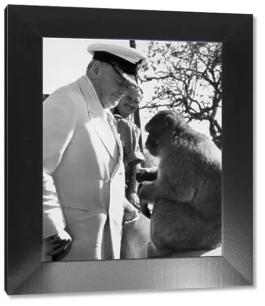 Sir Winston Churchill with barbary ape during visit to Gibraltar - October 1958
