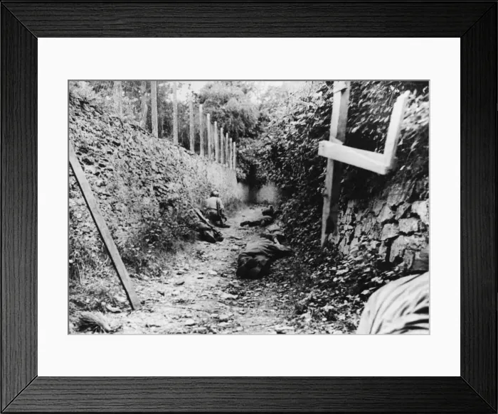 Framed Print : Infantry patrol hugs hedgerow by lane in St. Lo, France Framed Print : Infantry patrol hugs hedgerow by lane in St. Lo, France
