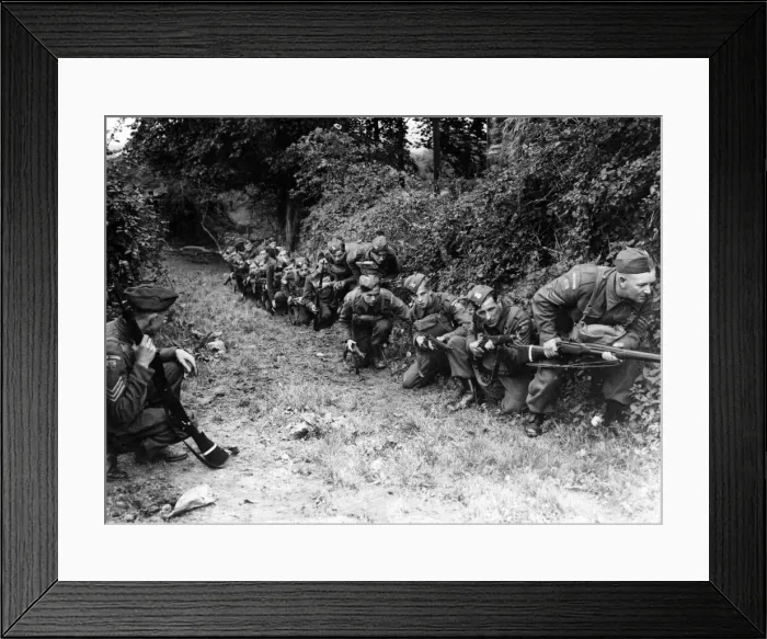 Framed Print : Home Guard camp near Cardiff. Men use the cover of a hedge before advancing against Framed Print : Home Guard camp near Cardiff. Men use the cover of a hedge before advancing against