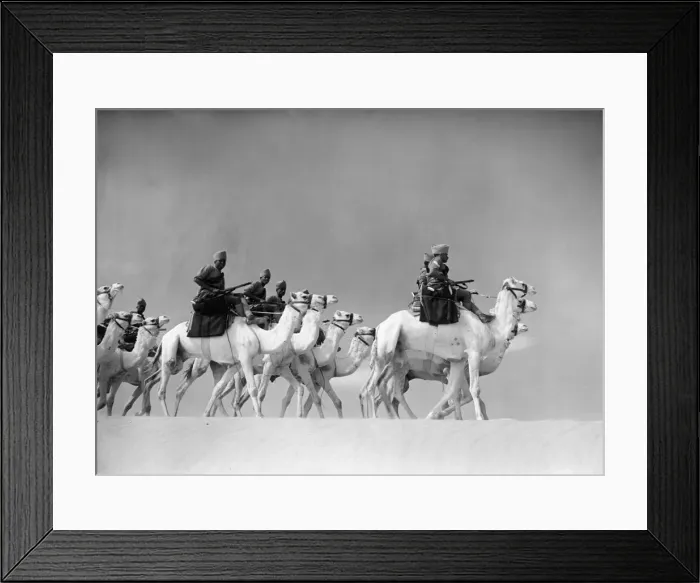 Framed Print : Egyptian camel corps train in the desert. 1940 Framed Print : Egyptian camel corps train in the desert. 1940