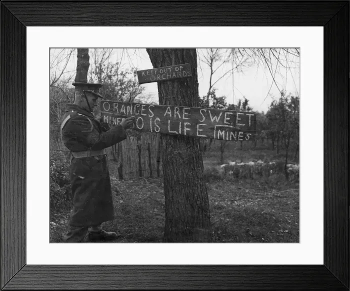 Framed Print : All the orchards on the northern side of the Garigliano have been thickly sown with mines Framed Print : All the orchards on the northern side of the Garigliano have been thickly sown with mines
