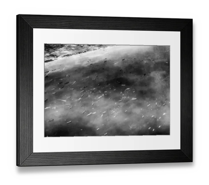 Framed Print : Thousands of Allied Naval Craft ferry to and from the beachhead in Northern France form