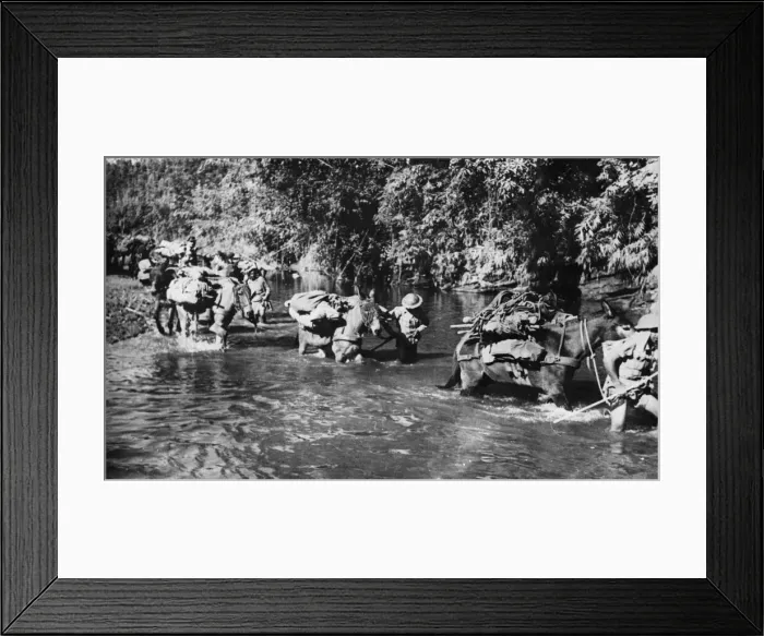 Framed Print : The Royal Indian Army Corps has a tough job in Burma, It has to set supplies through