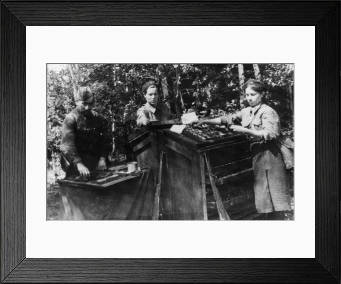 Framed Print : Scenes on the Russian front during the counter-offensive campaign of the Soviet Red Army Framed Print : Scenes on the Russian front during the counter-offensive campaign of the Soviet Red Army