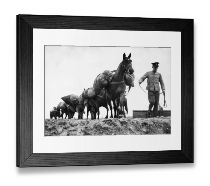 Framed Print : The Royal Veterinary Corps. C York, an English boy from a French racing stable
