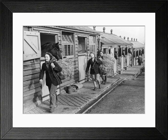 Framed Print : Hunting Girls working at the Army Remount Depot Melton Mowbray
