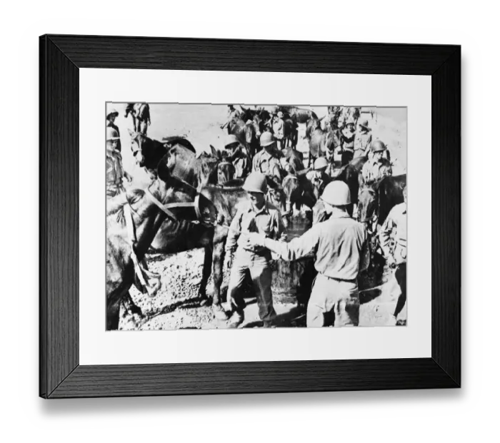 Framed Print : American soldiers with water mules at Palermo. 25th September 1943 Framed Print : American soldiers with water mules at Palermo. 25th September 1943