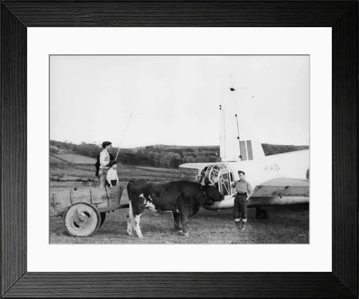 Framed Print : An RAF mechanic, working on a Coastal Command Wellington at the base in the Azores Framed Print : An RAF mechanic, working on a Coastal Command Wellington at the base in the Azores