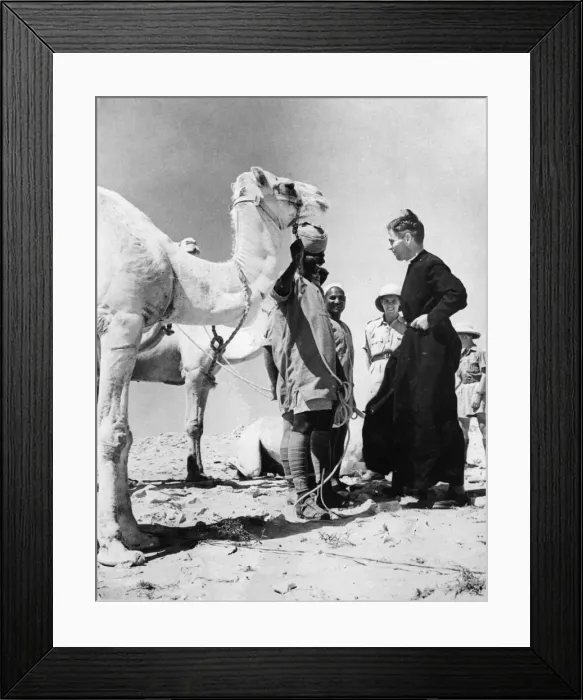 Framed Print : Western Desert Campaign, the Desert War, took place in the deserts of Egypt and Libya Framed Print : Western Desert Campaign, the Desert War, took place in the deserts of Egypt and Libya