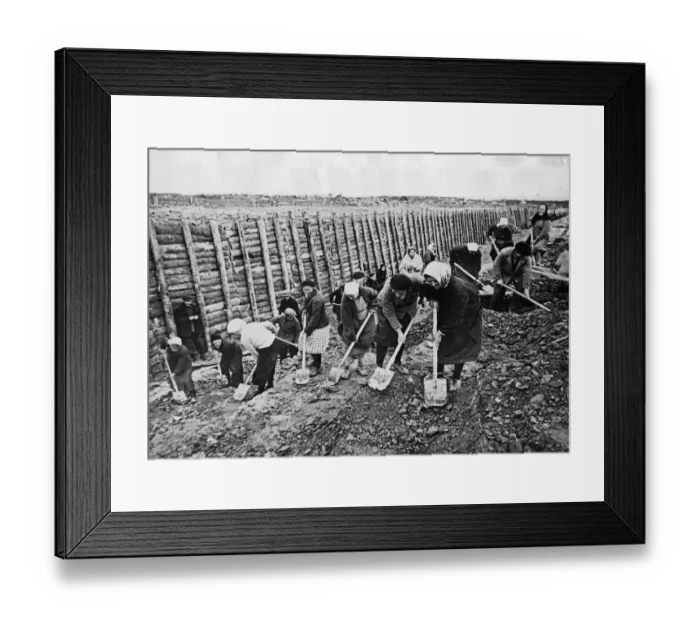 Framed Print : Leningrad inhabitants, including women of all ages, under the leadership of Petrov Framed Print : Leningrad inhabitants, including women of all ages, under the leadership of Petrov