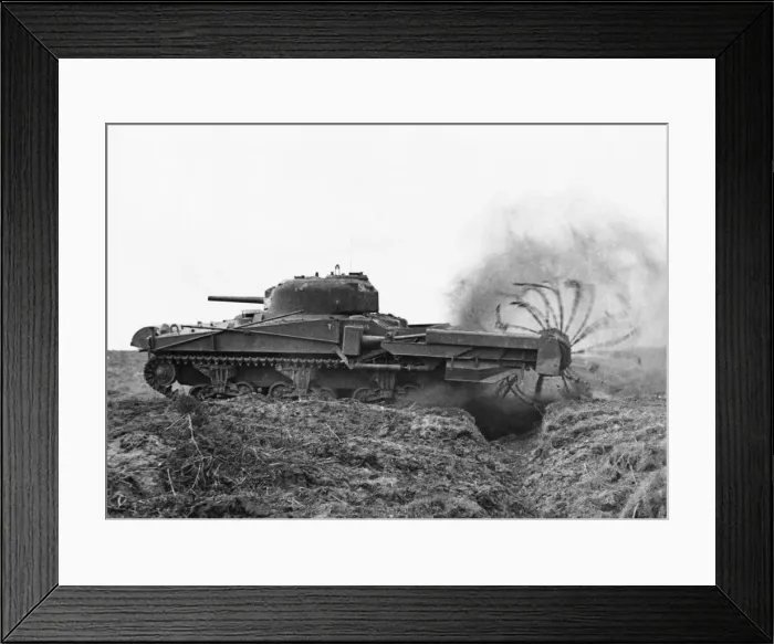 Framed Print : Sherman Crab Mk II flail tank, one of General Hobarts funnies Framed Print : Sherman Crab Mk II flail tank, one of General Hobarts funnies