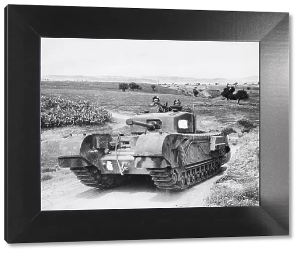 Churchill tank moving through Tunisian countryside in the Medjez-el-Bab area