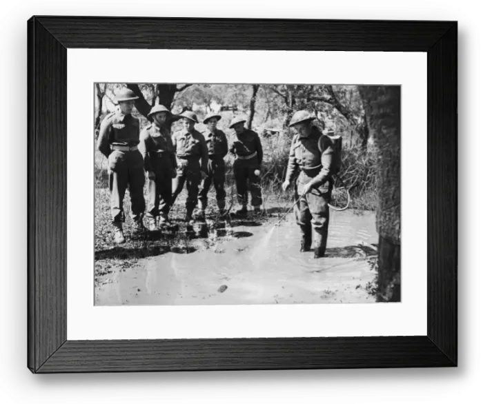 Framed Print : Malarial sprayer in the Pontine Marsh, Anzio. 22nd April 1944 Framed Print : Malarial sprayer in the Pontine Marsh, Anzio. 22nd April 1944