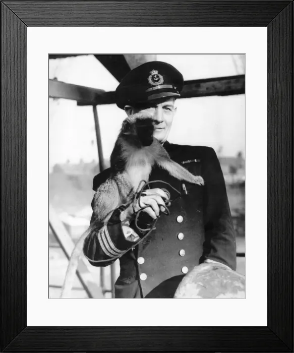 Framed Print : Chief Officer J Stevens and his monkey Jennie, aboard The Father Neptune Framed Print : Chief Officer J Stevens and his monkey Jennie, aboard The Father Neptune