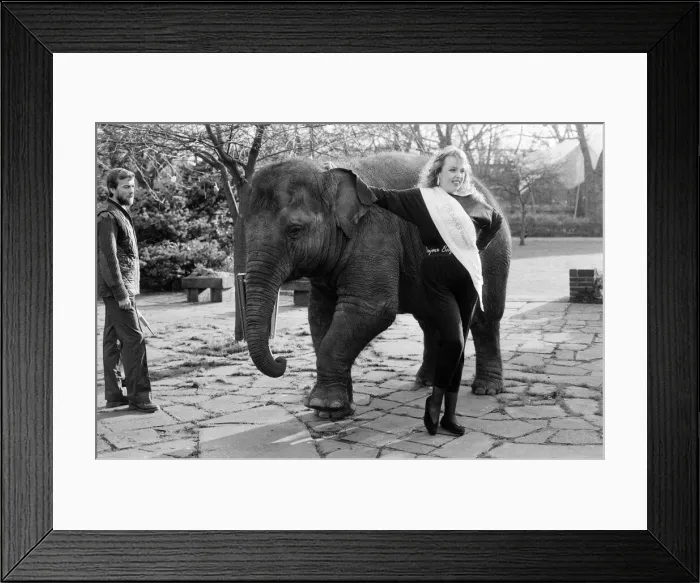 Framed Print : Fee £100 per image for online and £200 per image for printMichelle Deakin Framed Print : Fee £100 per image for online and £200 per image for printMichelle Deakin