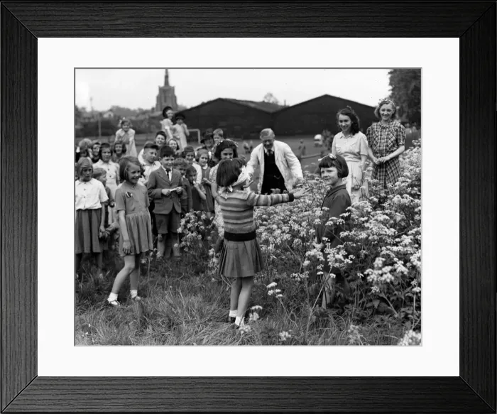 Framed Print : Evacuees at a farewell party, playing a game of Blind Mans Bluff Framed Print : Evacuees at a farewell party, playing a game of Blind Mans Bluff