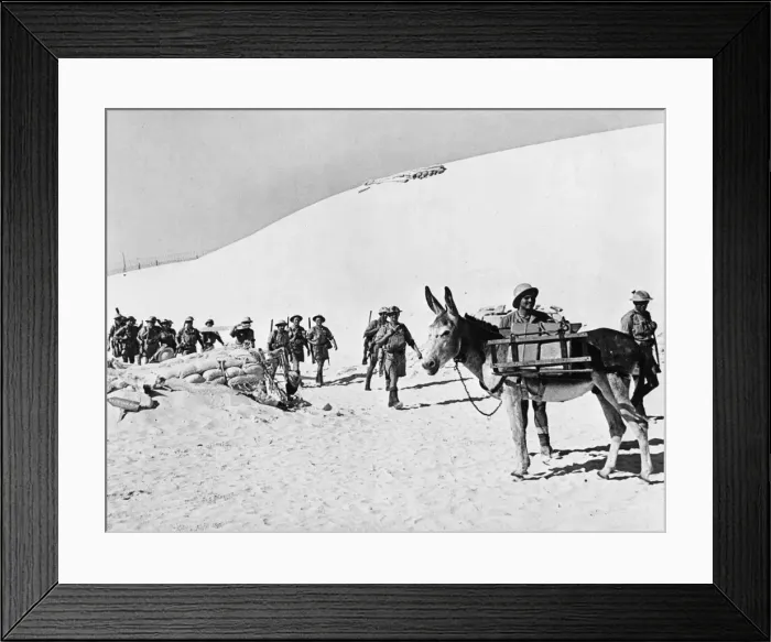 Framed Print : Western Desert Campaign, the Desert War, took place in the deserts of Egypt and Libya Framed Print : Western Desert Campaign, the Desert War, took place in the deserts of Egypt and Libya