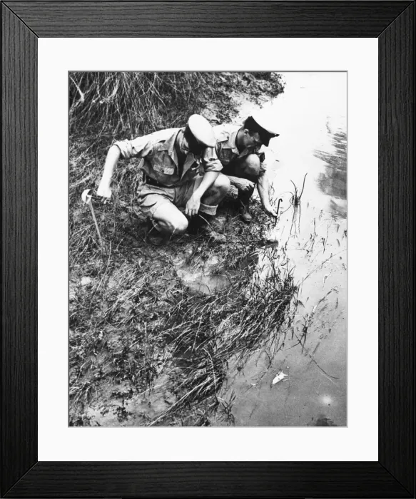 Framed Print : British Navy fights Disease in the East. (Picture Framed Print : British Navy fights Disease in the East. (Picture