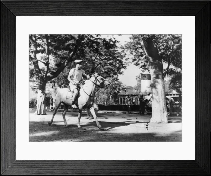Framed Print : In Cairo, on a branch of the River Nile, is the Gozira Sporting Club Houseboat which is