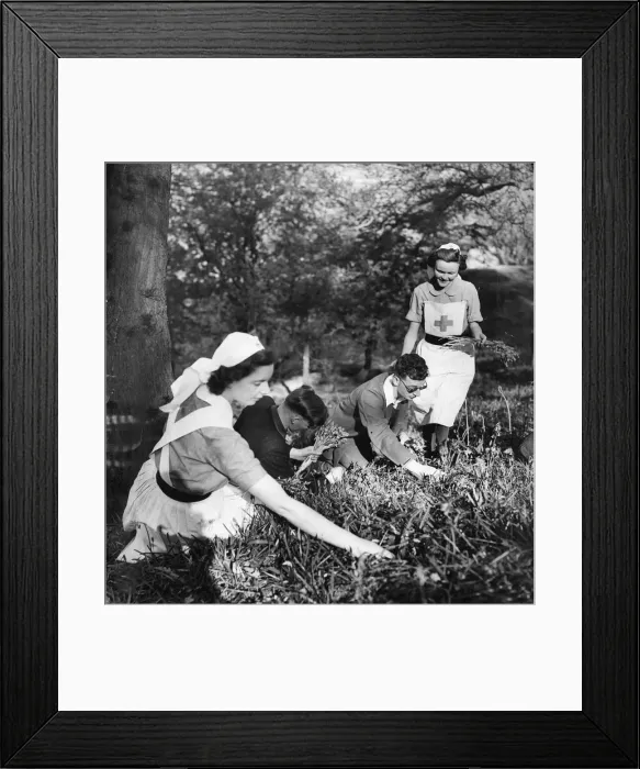 Framed Print : Nurses help the blind gather flowers in spring. It is suggested that Framed Print : Nurses help the blind gather flowers in spring. It is suggested that