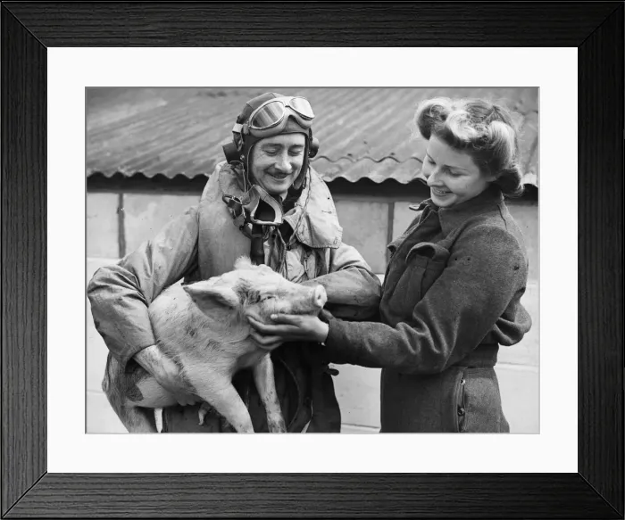 Framed Print : A famous RAF fighter station near London runs its own agricultural section for producing Framed Print : A famous RAF fighter station near London runs its own agricultural section for producing