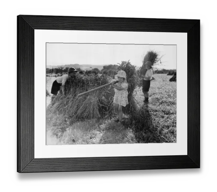 Framed Print : Reggie, Babble and Mary Damerell roll up their sleeves and lend a hand stocking Framed Print : Reggie, Babble and Mary Damerell roll up their sleeves and lend a hand stocking