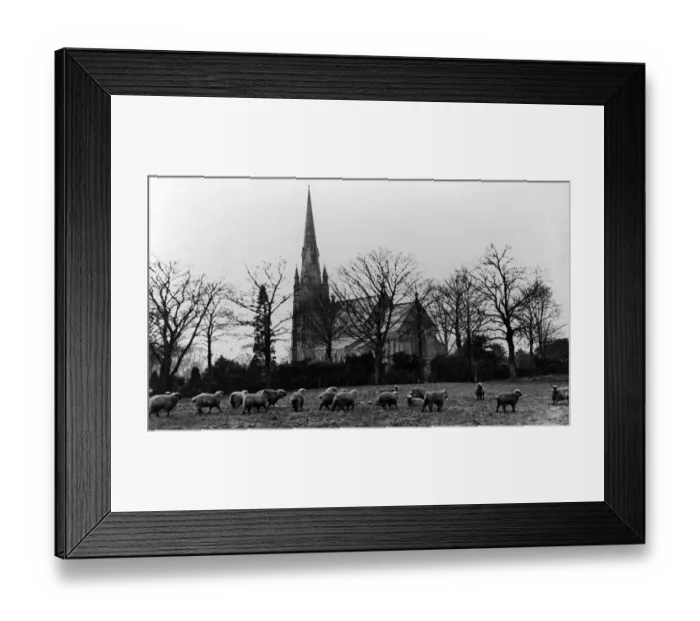 Framed Print : SCAN FROM SENTINEL ARCHIVE - An album of previously unseen photographs depicting everyday
