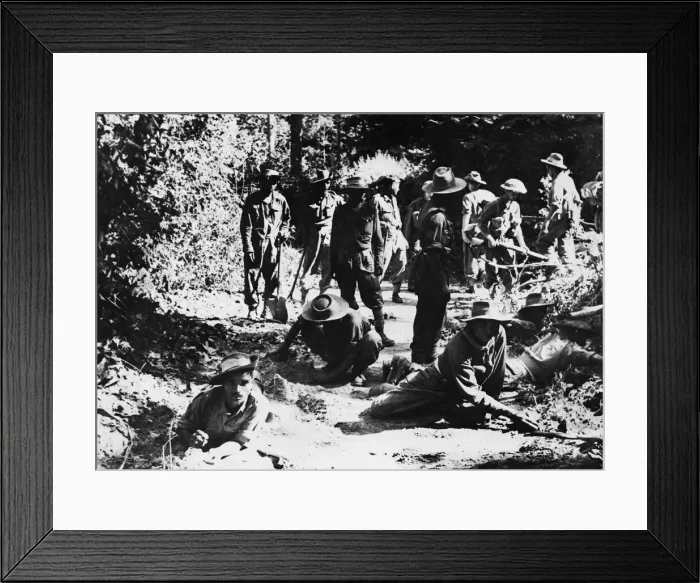 Framed Print : Men of the Indian Field engineers searching for mines and booby traps during the advance