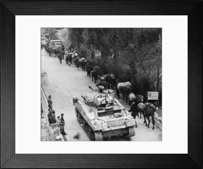 Framed Print : Sherman tank overtakes Italian Pack Mule company moving up through Legare Italy Framed Print : Sherman tank overtakes Italian Pack Mule company moving up through Legare Italy