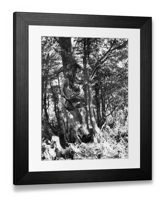 Framed Print : British Army in training in the countryside. Wearing camouflage Framed Print : British Army in training in the countryside. Wearing camouflage