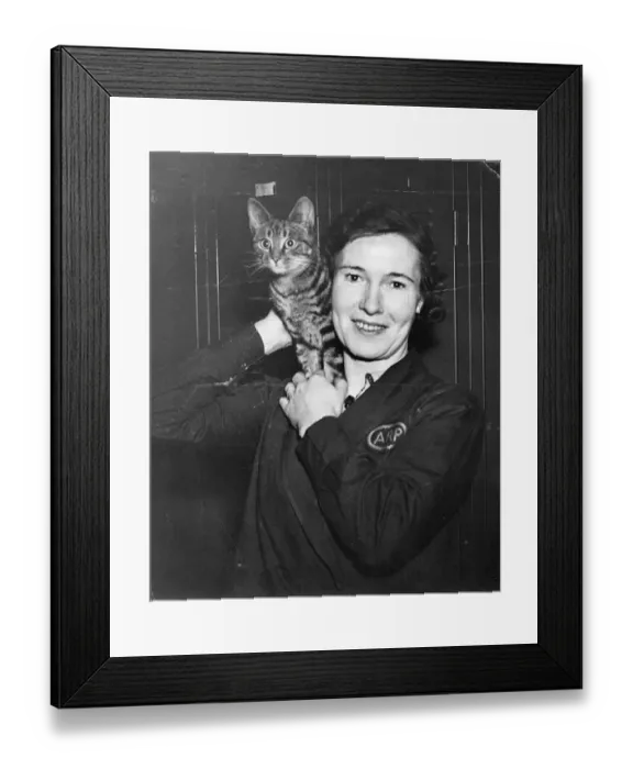 Framed Print : An ARP (Air Raid Precaution) ware, holds up a kitten, safe