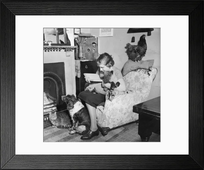 Framed Print : Vera Smithers at the fireside with her pets. A dog, a cat, a hen, a sheep Framed Print : Vera Smithers at the fireside with her pets. A dog, a cat, a hen, a sheep
