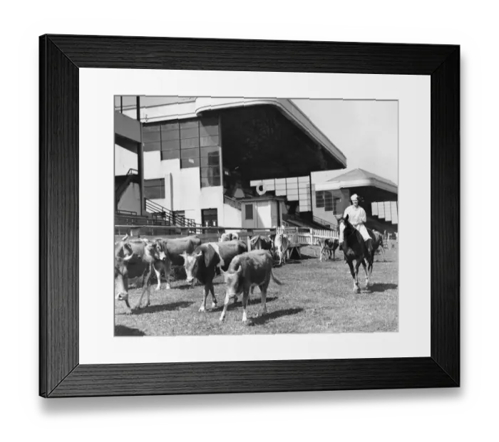 Framed Print : Miss Joan Stoner, a former Brighton hairdresser and now with the WLA (The Women Framed Print : Miss Joan Stoner, a former Brighton hairdresser and now with the WLA (The Women